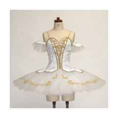 オーロラ10:ctu04aurora10